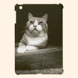 Sépia de chat coques mini ipad