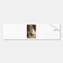 Sepia Horse Bumper Sticker