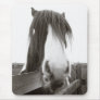 Sepia Horse Portrait Mousepad