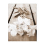 Sepia Lily Postcard