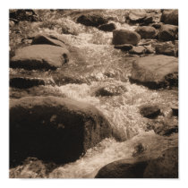 Sepia Nature Creek Photo Print Poster posters