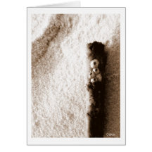 Sepia Sand Stick Greeting Cards