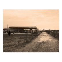 Sepia Tone Photograph Postcards