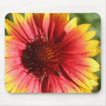 September Gaillardia Mouse Pad