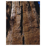 Sequoia close-up, Sequoia National Park, Yosemite, Personalized Flyer