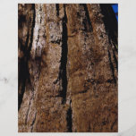 Sequoia close-up, Sequoia National Park, Yosemite, Personalized Flyer