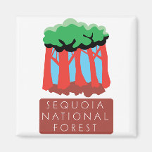 Sequoia National Forest Fridge Magnets