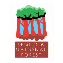 Sequoia National Forest Post Cards