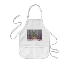 Sequoia National Park Apron