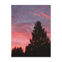 Sequoia Sunrise Post Cards