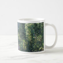 Sequoias Forrests Bark Fences Coffee Mug