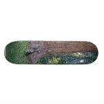 Sequoias Forrests Bark Fences Skate Board Deck