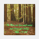 Sequoias Refrigerator Magnet