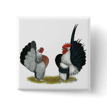 Serama Bantams Button
