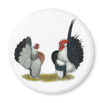 Serama Bantams Magnets