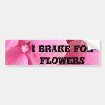 SERENE BUMPER STICKER
