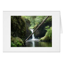 Serene Greeting Cards
