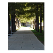 Serene walk way postcards