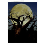 Serengeti Card