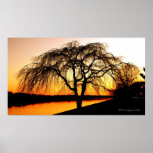 Serengeti in the City Print