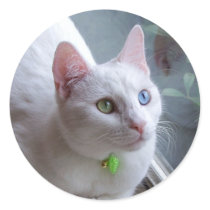 Serenity #2 Sticker