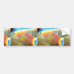 Serenity Bumper Sticker