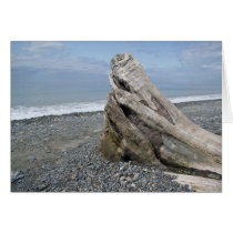 Serenity Cards