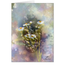 Serenity Card