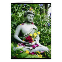 Serenity Cards