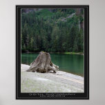 Serenity Print