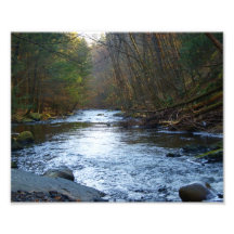 Serenity Scene 10x8 Photographic Print