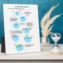 Serial Endosymbiosis Theory mitochondria plastids Photo Plaques