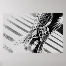 Série de la Roumanie Posters