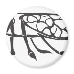 Serious Cicada Insect in Black and White magnets