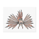 Serious Lion Fish in Black and White postcards