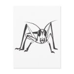 Serious Locust Insect in Black and White postcards