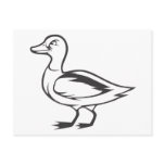 Serious Mallard Duck Bird in Black and White postcards