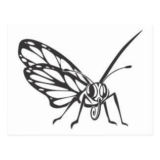 Serious Monarch Butterfly in Black and White Postcards
