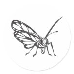 Serious Monarch Butterfly in Black and White Round Stickers