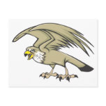 Serious Peregrine Falcon Bird postcards
