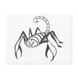Serious Scorpion Insect in Black and White postcards