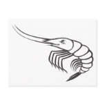 Serious Shrimp in Black and White postcards