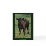Seriously Note Cards Card