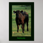 Seriously Poster