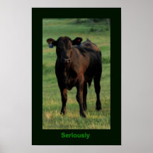 Seriously Poster