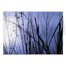 Serne Card