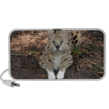 serval 003 speaker system
