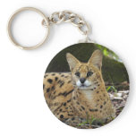serval 015 keychains