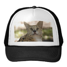 serval 017 hat