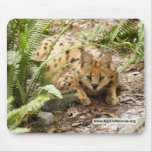 serval 019 copy mousepads
